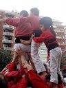 http://lh4.ggpht.com/_PKO_RoJQEZ0/S30SNfPxLdI/AAAAAAAABCQ/gCT5Asp_VfA/P1230182.JPG