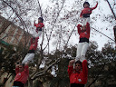 http://lh4.ggpht.com/_PKO_RoJQEZ0/S30Six4TowI/AAAAAAAABCk/Lg9Ke8g3XS0/P1230187.JPG