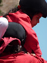 http://lh4.ggpht.com/_PKO_RoJQEZ0/S_0W7xqn_cI/AAAAAAAACug/JOCpTUpWjhM/P1040267.JPG