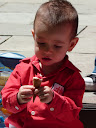 http://lh4.ggpht.com/_PKO_RoJQEZ0/S_0WqQ3dm_I/AAAAAAAACts/t5yoZ6H-rSk/P1040241.JPG