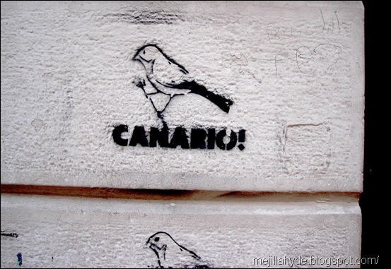 Canario