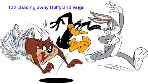 [Taz_chasing_daffy-bugs[7].jpg]