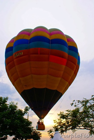 [DSC09044[8].jpg]