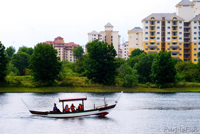 [DSC08944[12].jpg]