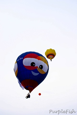 [DSC09015[8].jpg]