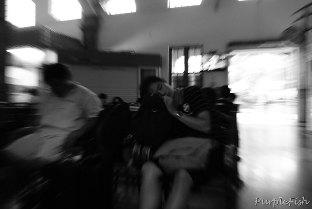 [DSC00839[8].jpg]