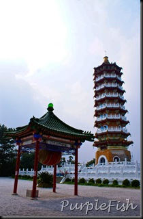 DSC00895