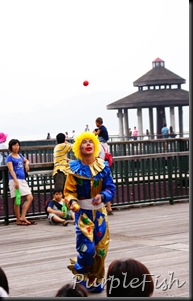 DSC00911