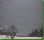 DSC_0107 DSC_0107