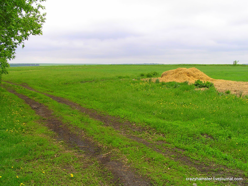 Страна дефективных мостов
