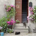 Castiglione Olona