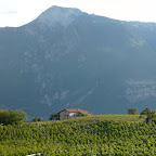 Tavernaro 017 Stitch.jpg