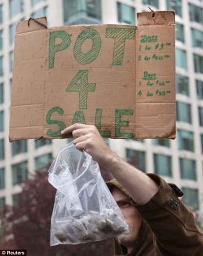 pot_protesters_in_the_usa_30