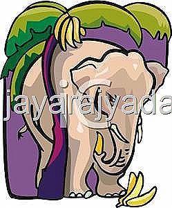 [funny elephant banana[14].jpg]