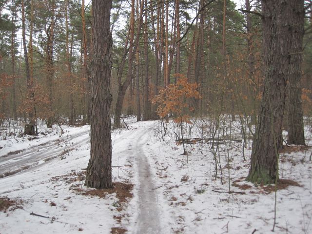 Зображення