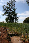 Cavita,  India 112.JPG