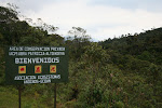 Entering Abra Patricia - Alto Nieva Reserve, Peru