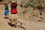 Qhapac ñan trek, Peru