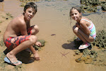 Praia do Forte 056.JPG