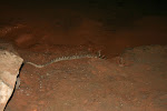 Lencois 173.JPG