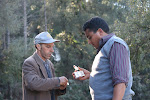 On the road from Tabarka to Ain Draham, Tunisia