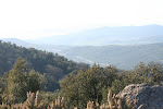Ain Draham, Tunisia