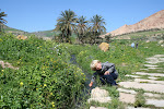 Channel from the warm-springs, Roman ruins of Bula Regia, Tunisia