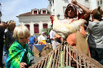 Coimbra, Portugal 081.JPG