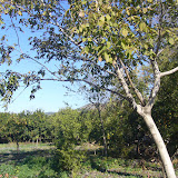 lülükaralık2007