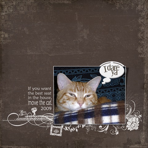 [Scout-I-Dare-Ya copy[4].jpg]