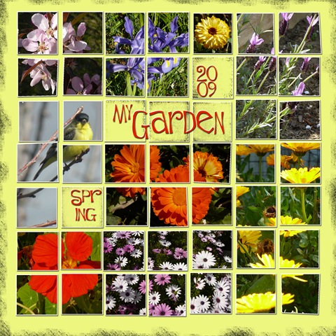 [2009-03-My-Garden[4].jpg]