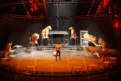 Ringling Bros and Barnum & Bailey's Over the Top