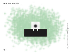 Focus on the front sight.