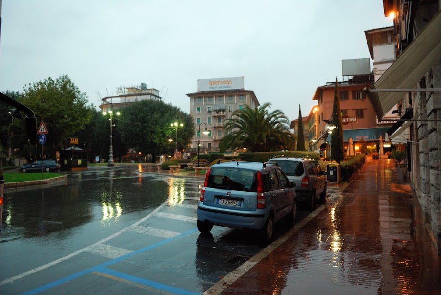 DSC_3937.jpg