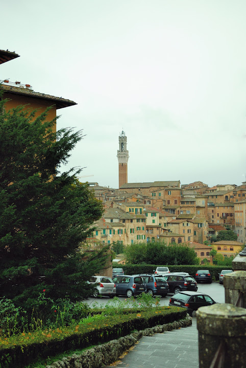 100_3943.jpg