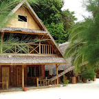 Living between palms