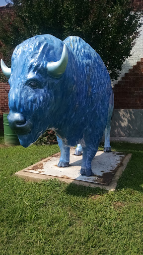 Checotah Blue Buffalo