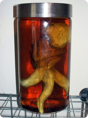 thing in a jar 7