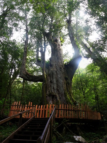 [Panorama 10[2].jpg]