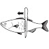 scale_fish_drawing.jpg