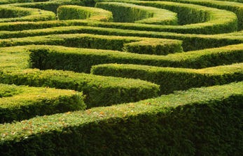 [Maze - iStock - small[2].jpg]