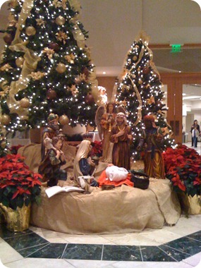 photo(38)