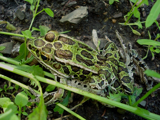 [DSC05722[10].jpg]