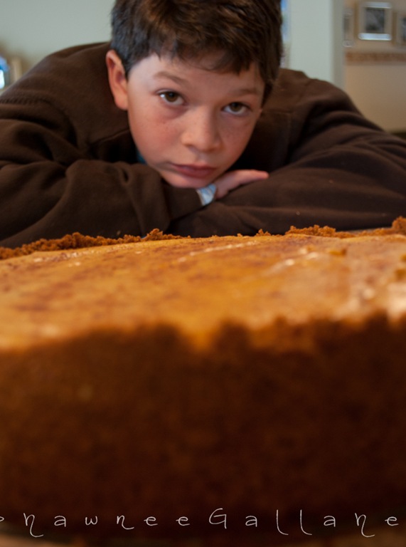 [cheesecake[5].jpg]