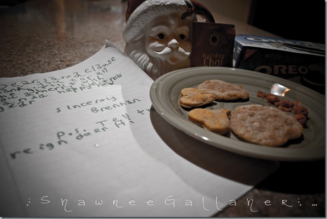 santa's cookies