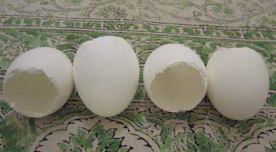 Eggshells for the Seeds.JPG