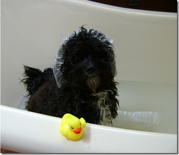 in the bath