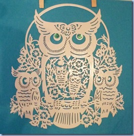 owl owl