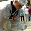 080402-N-0388K-120 WASHINGTON, D.C. (April 12, 2008) U.S. Navy Ceremonial Guardsman Fireman Apprentice Andrew Scott Norden pours waters from the Seven Seas and Great Lakes into the U.S. Navy Memorial fountain in Washington during the 17th annual Blessing of the Fleets celebration. The Blessing of the Fleets coincided with the opening of the new exhibit at the Memorial, "Navy Medicine: Saving Life on Land and Sea." U.S. Navy photo by Mass Communication Specialist 2nd Class Erin Kerby (Released)