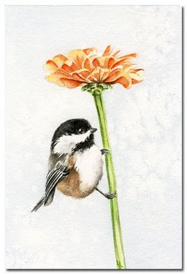 watercolour chickadee painting